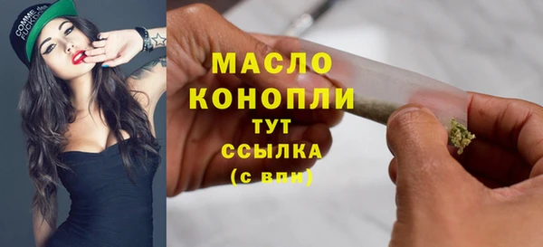 СК Медногорск