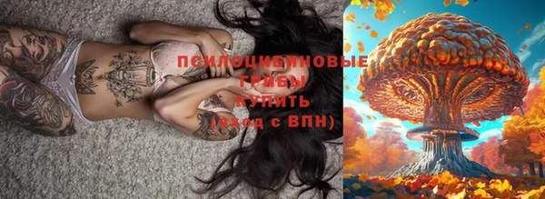 мескалин Медвежьегорск