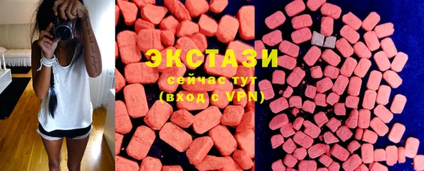 индика Бугульма