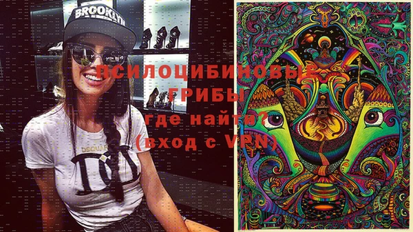 мескалин Медвежьегорск