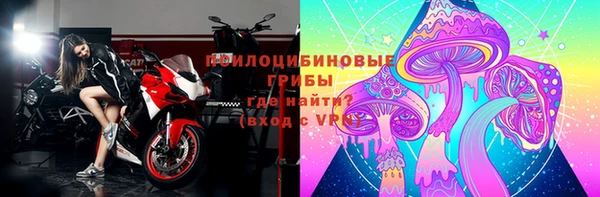 СК Медногорск