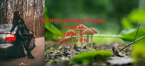 мескалин Медвежьегорск