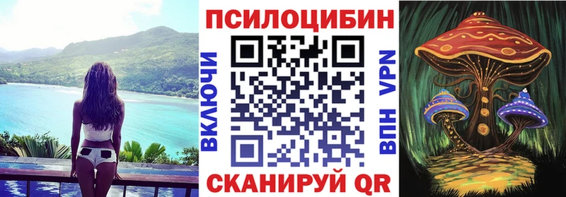 купить закладку Циолковский мега маркетплейс Псилоцибиновые грибы Psilocybine cubensis
